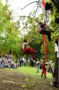 Le Grp de liberation des arbres 8 * 4272 x 2848 * (5.0MB)